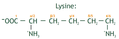 аминокислота лизин структура