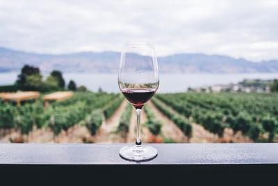 красное вино - польза для здоровья и вред