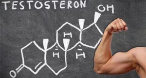мужской климакс и уровень тестостерона
