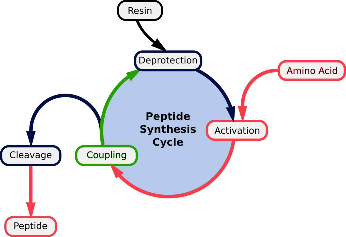 синтез пептидов